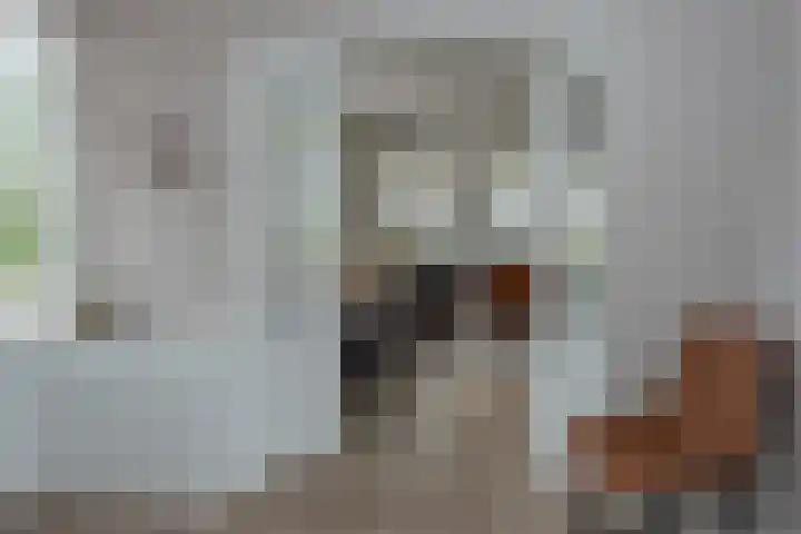 Stationsweg 74 Oldebroek thumbnail 28