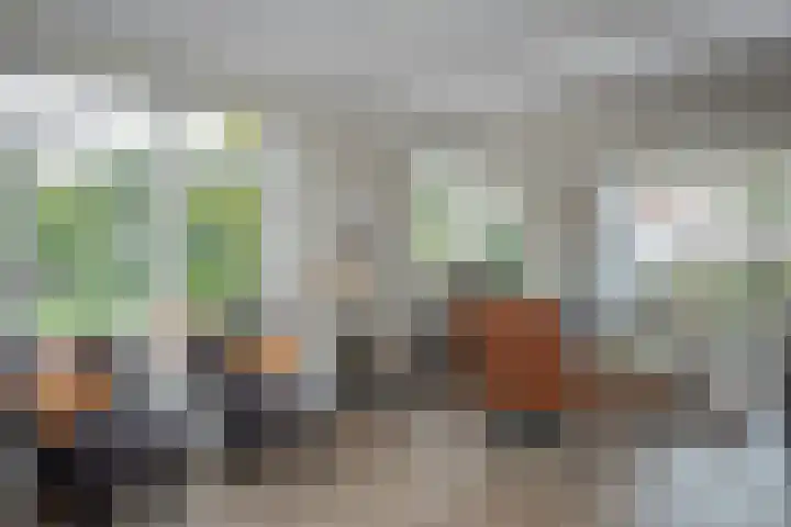 Stationsweg 74 Oldebroek thumbnail 41