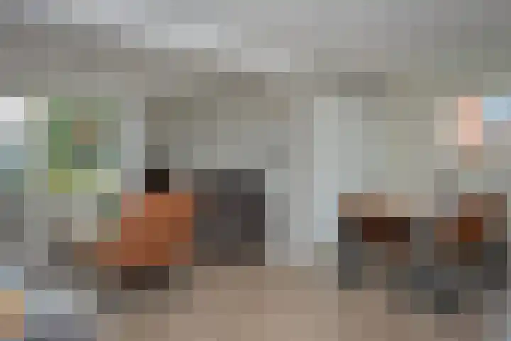 Stationsweg 74 Oldebroek thumbnail 43