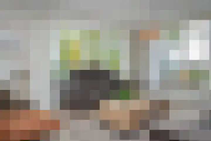 Stationsweg 74 Oldebroek thumbnail 44