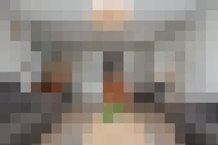 Stationsweg 74 Oldebroek thumbnail 45