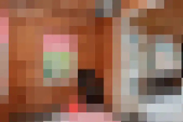 Stationsweg 74 Oldebroek thumbnail 65