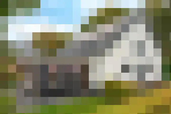 Stationsweg 74 Oldebroek thumbnail 71