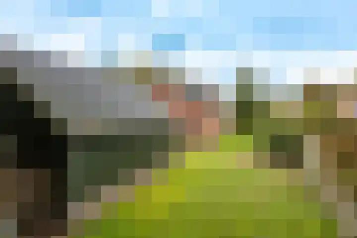 Stationsweg 74 Oldebroek thumbnail 80