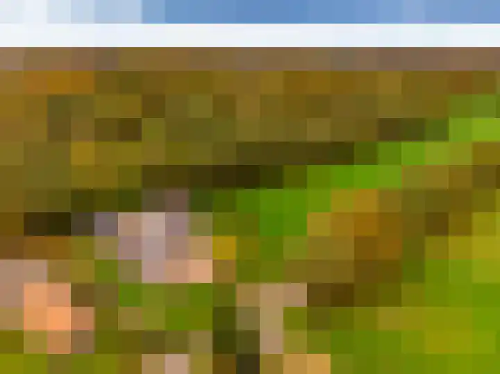 Stationsweg 74 Oldebroek thumbnail 83