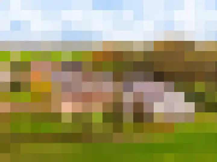 Stationsweg 74 Oldebroek thumbnail 93