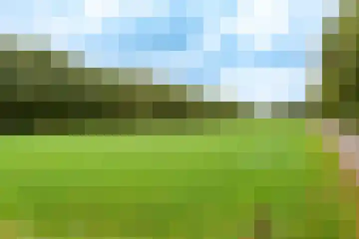 Stationsweg 74 Oldebroek thumbnail 94