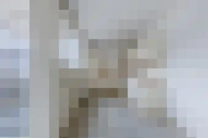 Stationsweg 76 a Heiloo thumbnail 11