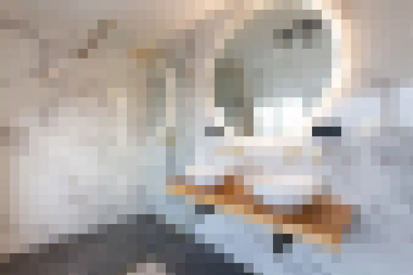 Stationsweg 79 Breukelen thumbnail 33