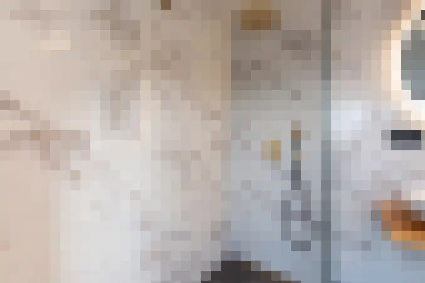 Stationsweg 79 Breukelen thumbnail 36