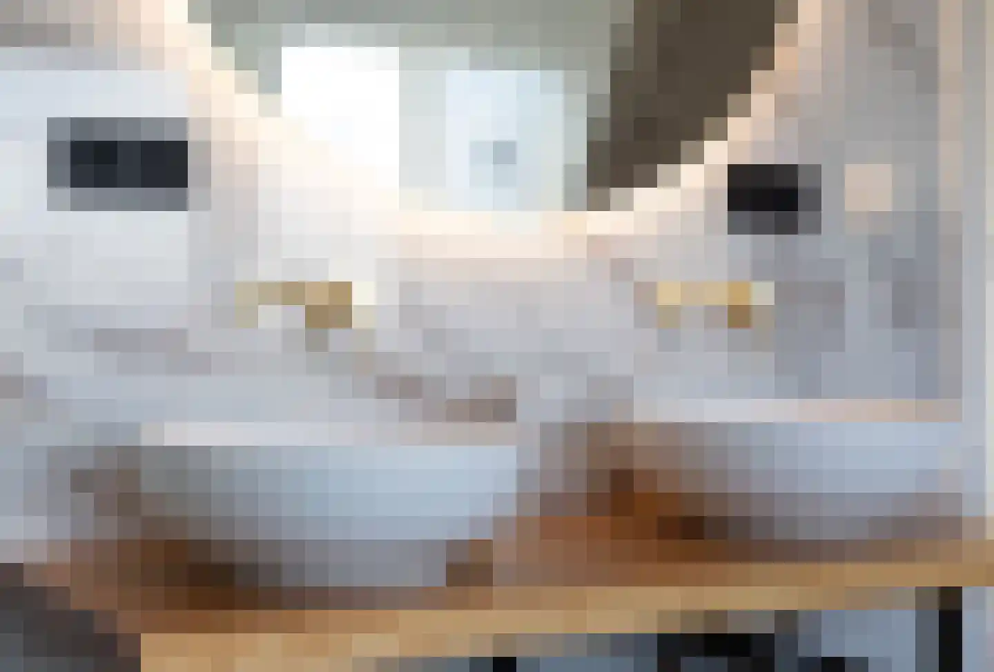 Stationsweg 79 Breukelen thumbnail 37