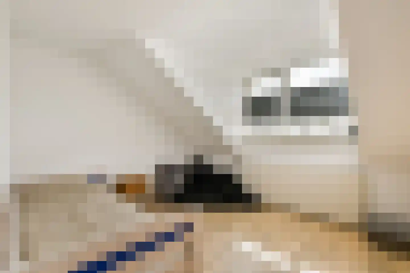 Stationsweg 8 Barendrecht thumbnail 27