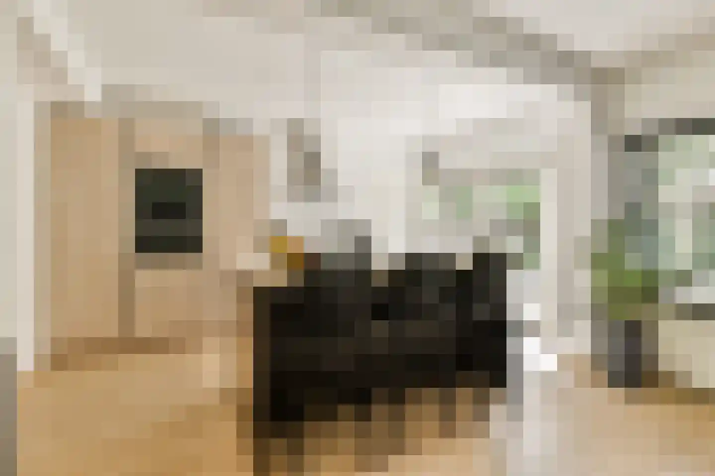 Stationsweg 8 Barendrecht thumbnail 7