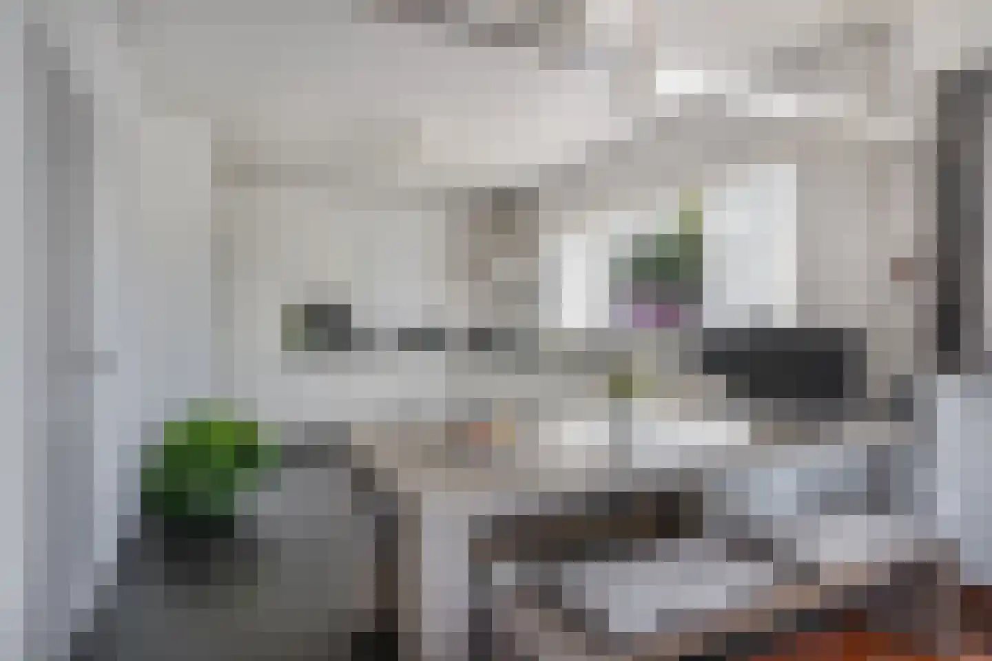 Stationsweg 8 Hedel thumbnail 13