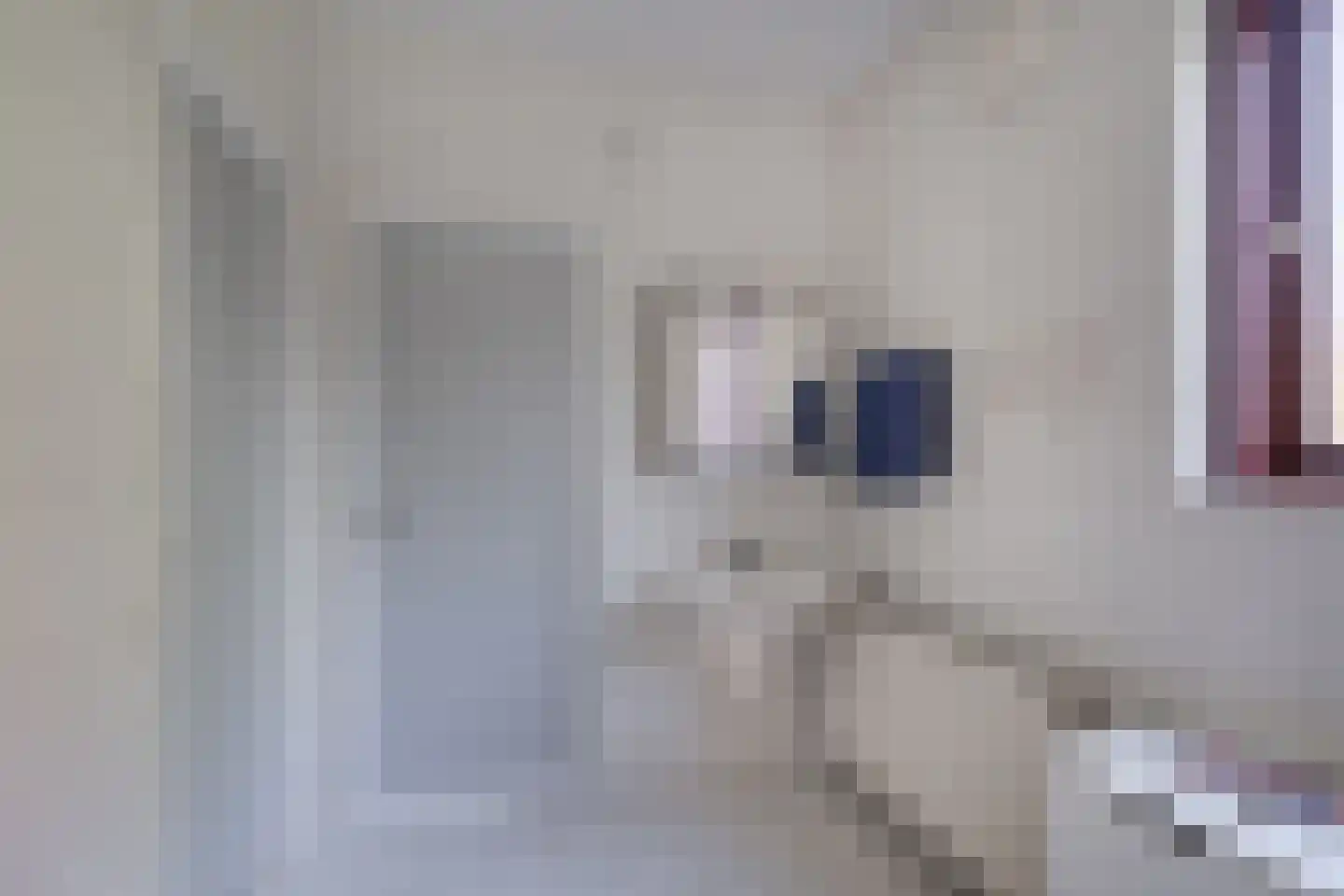 Stationsweg 8 Hedel thumbnail 21