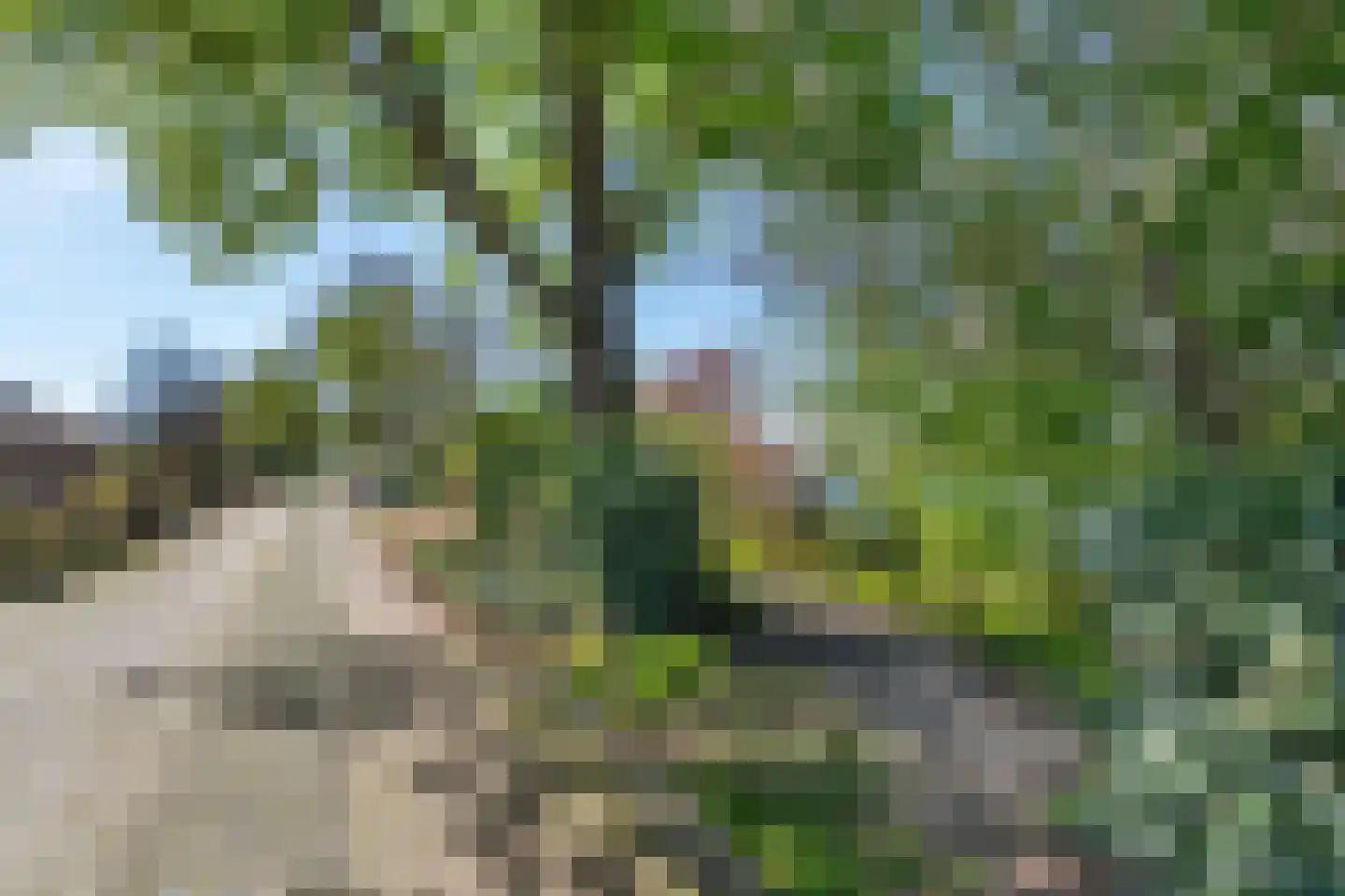 Stationsweg 8 Hedel thumbnail 26