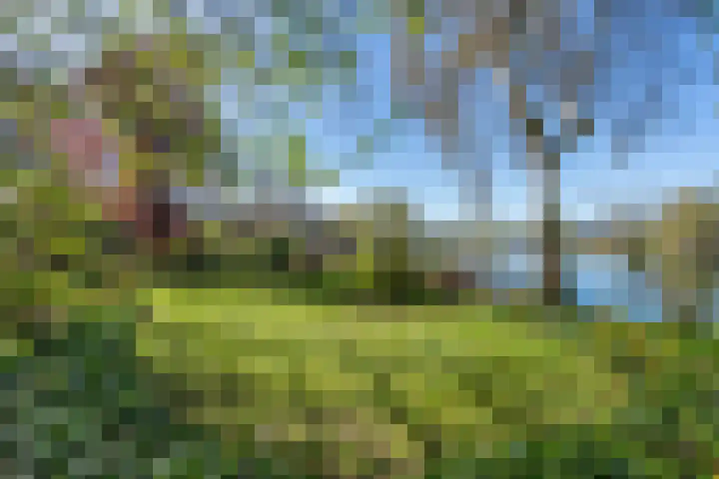 Stationsweg 8 Hedel thumbnail 30