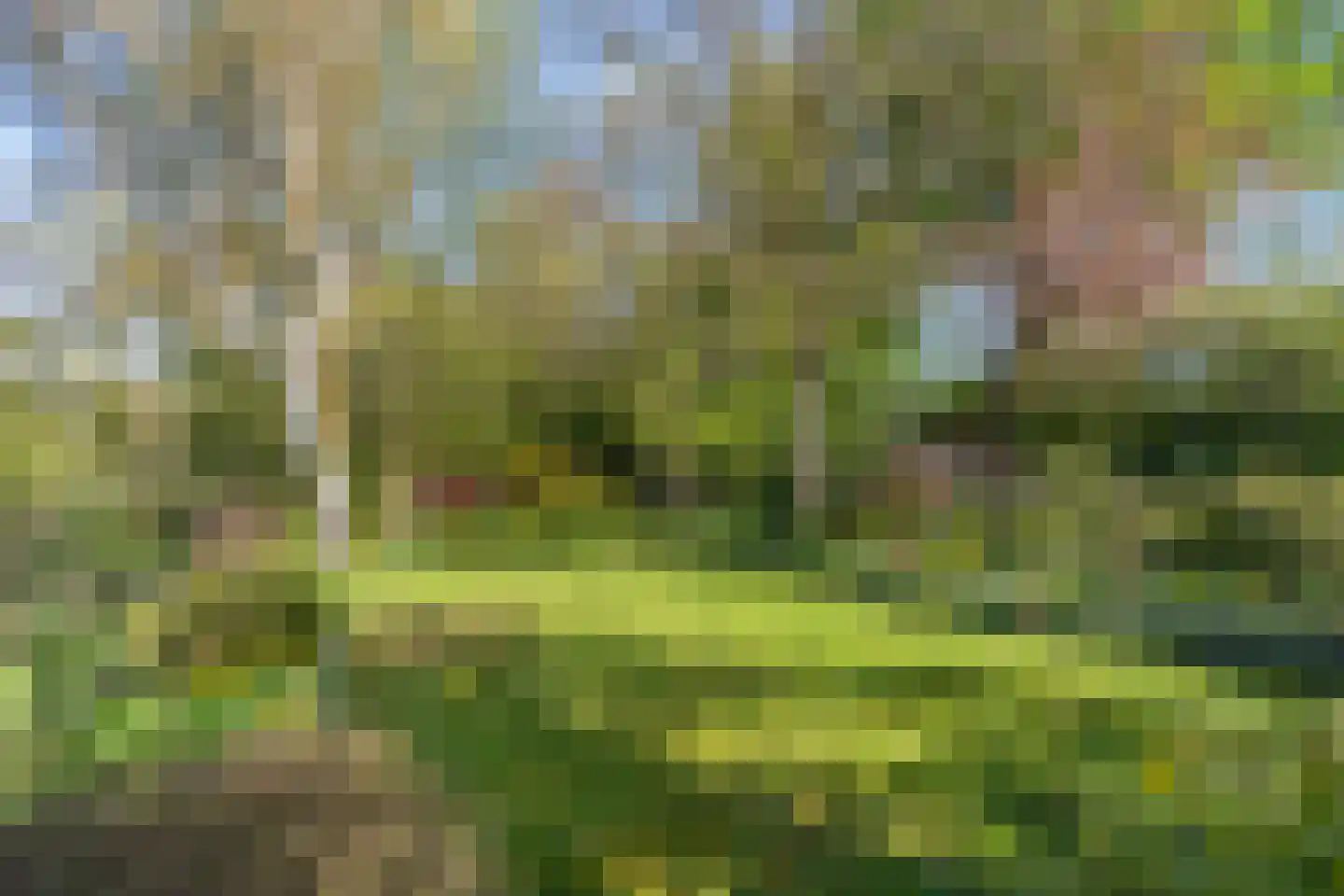 Stationsweg 8 Hedel thumbnail 31