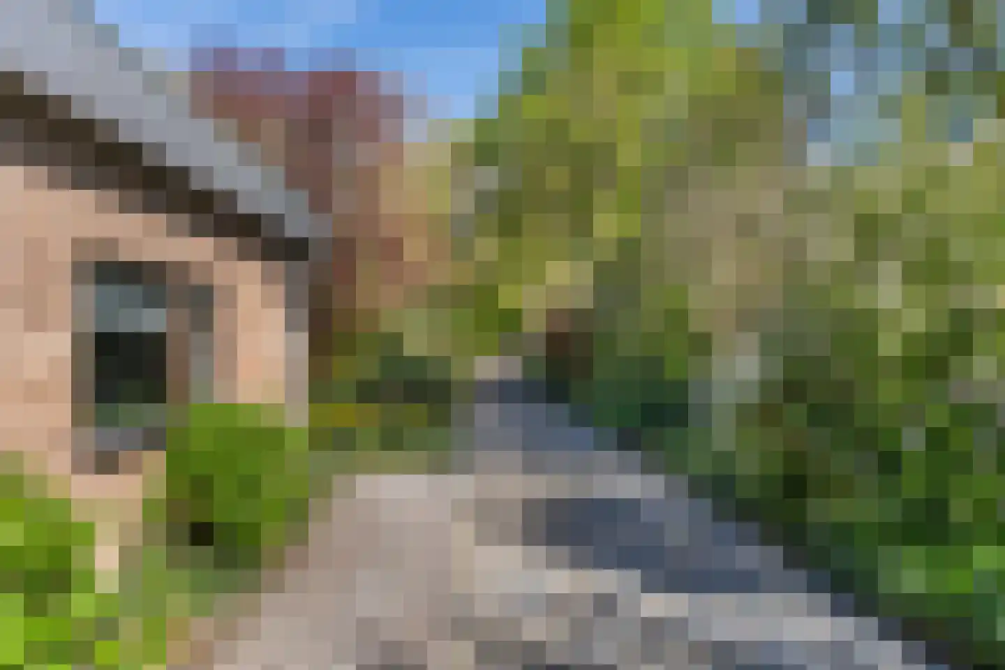 Stationsweg 8 Hedel thumbnail 33