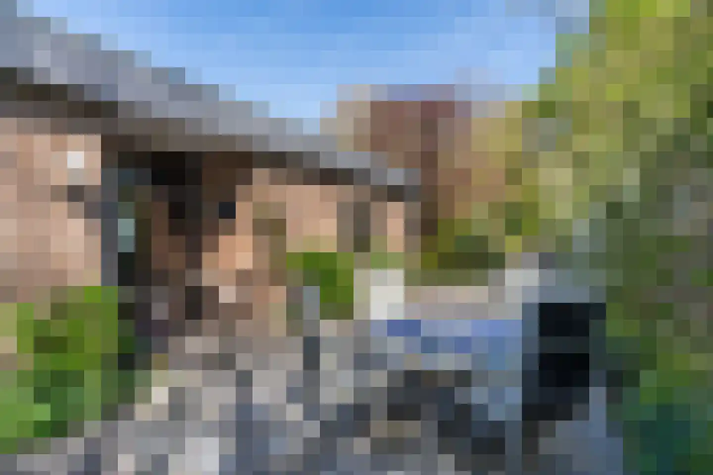 Stationsweg 8 Hedel thumbnail 34