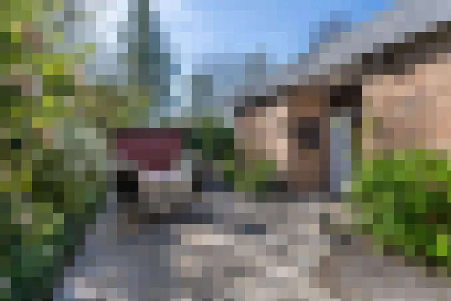 Stationsweg 8 Hedel thumbnail 35