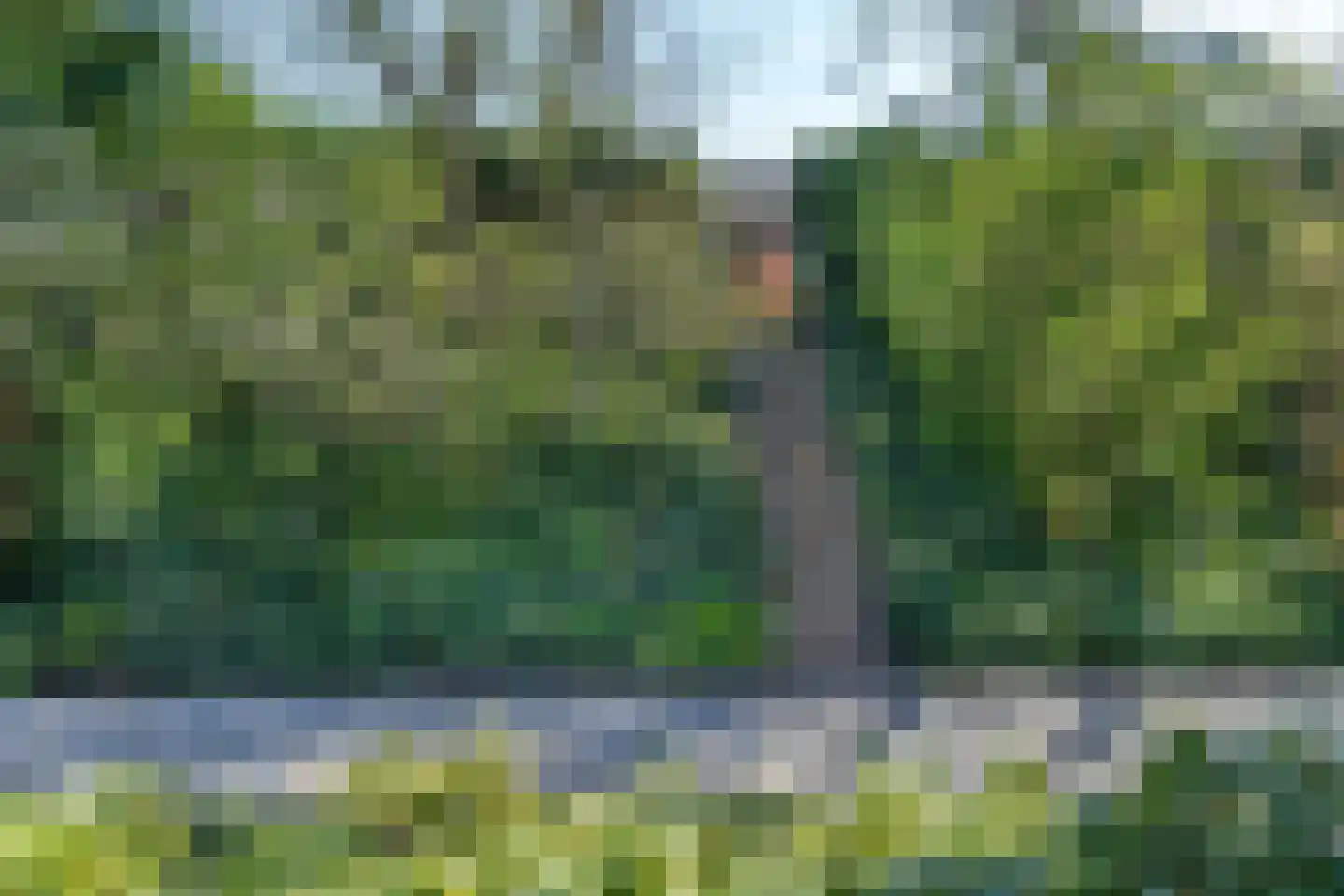 Stationsweg 8 Hedel thumbnail 7
