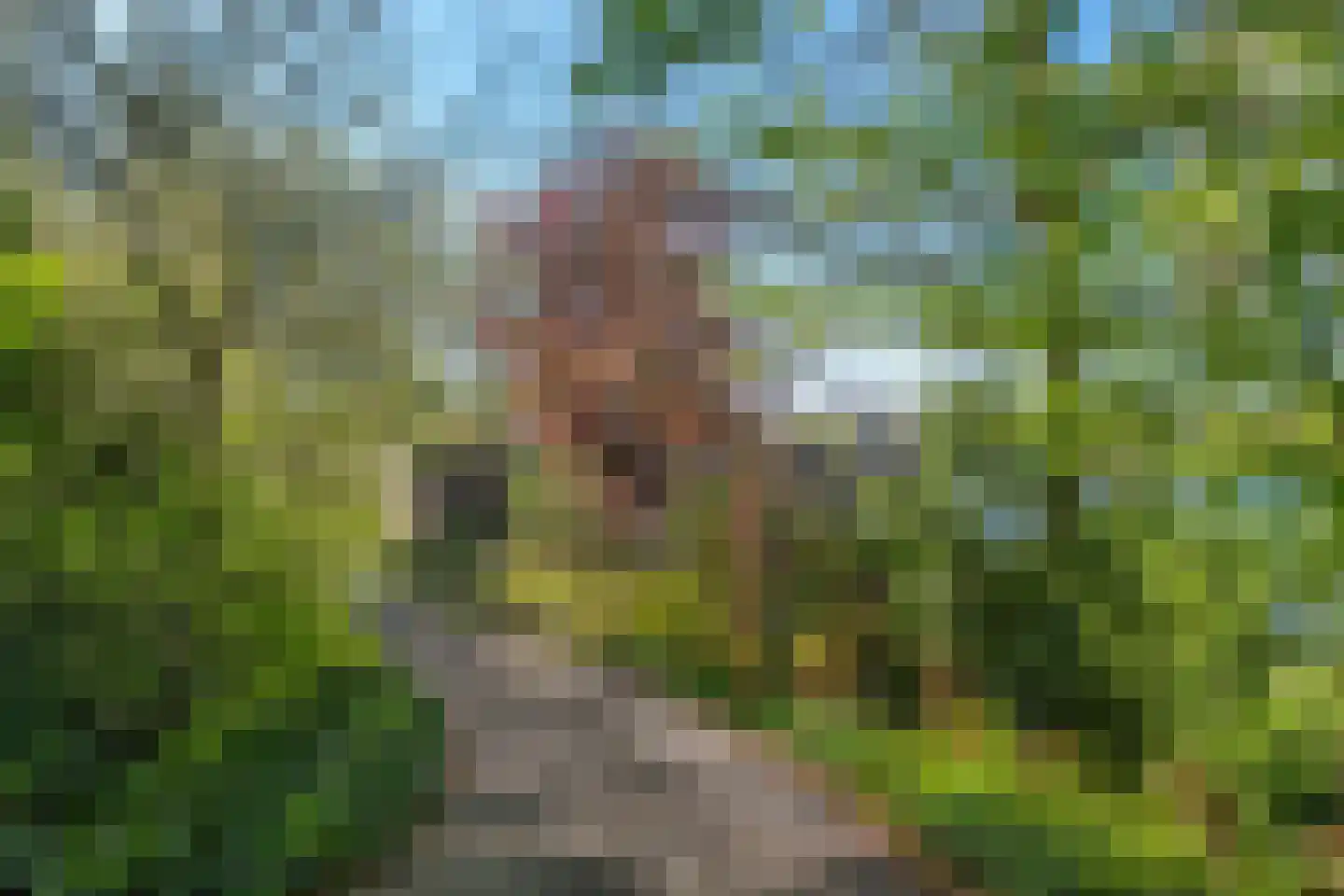 Stationsweg 8 Hedel thumbnail 8