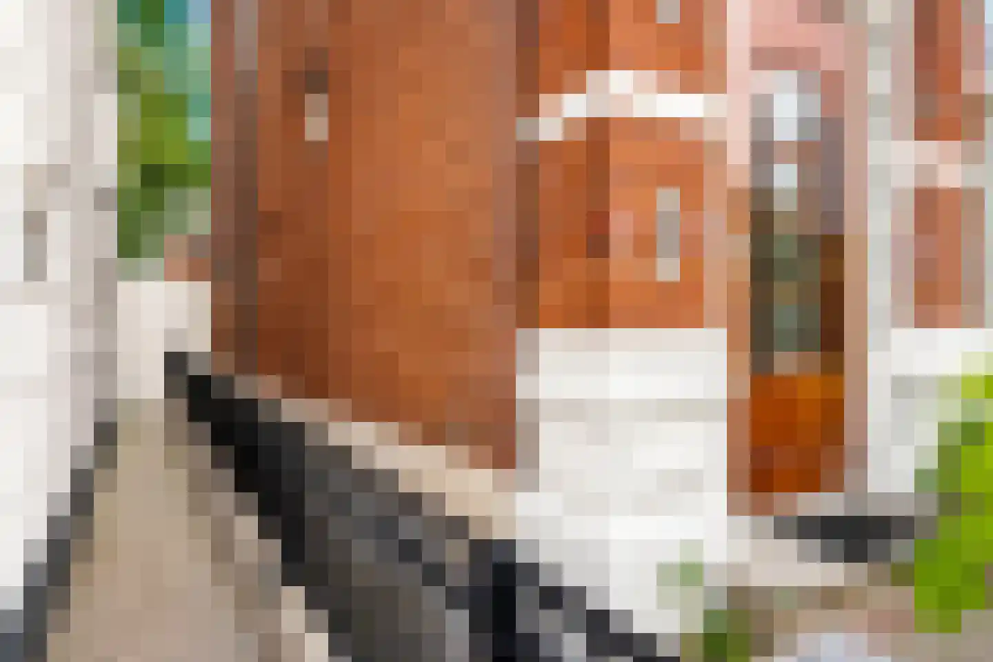 Stationsweg 8 Meppel thumbnail 12
