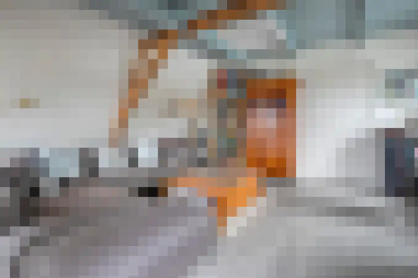 Stationsweg 8 Meppel thumbnail 47