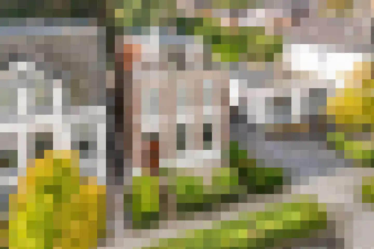 Stationsweg 8 Meppel thumbnail 7