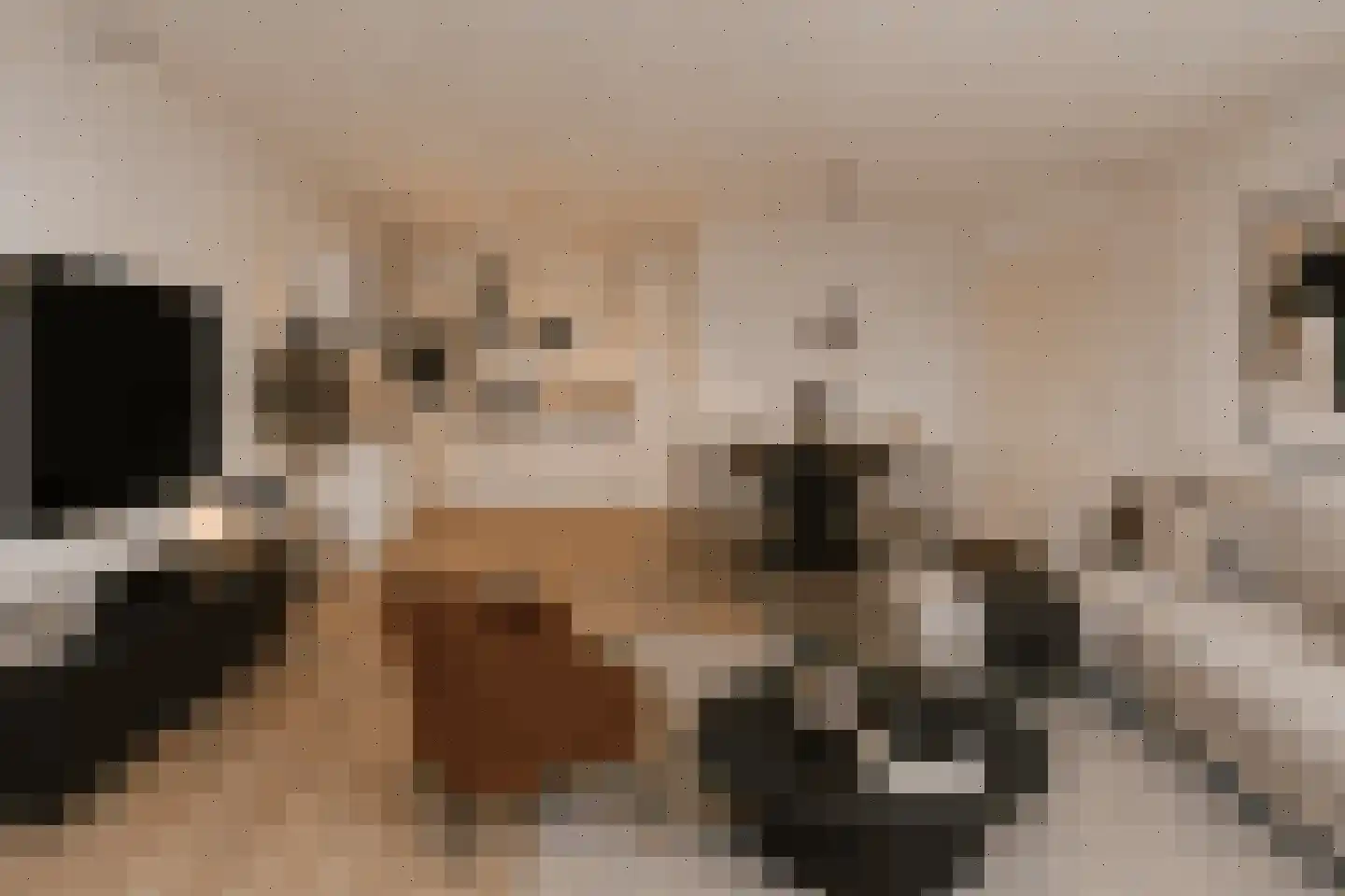Stationsweg 80 Heiloo thumbnail 4