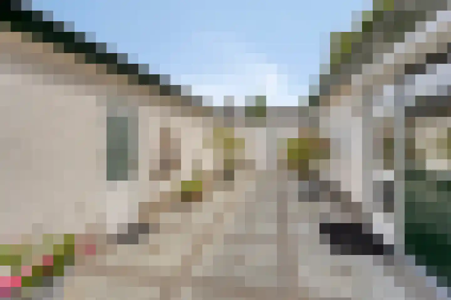 Stationsweg 80 Herkenbosch thumbnail 24