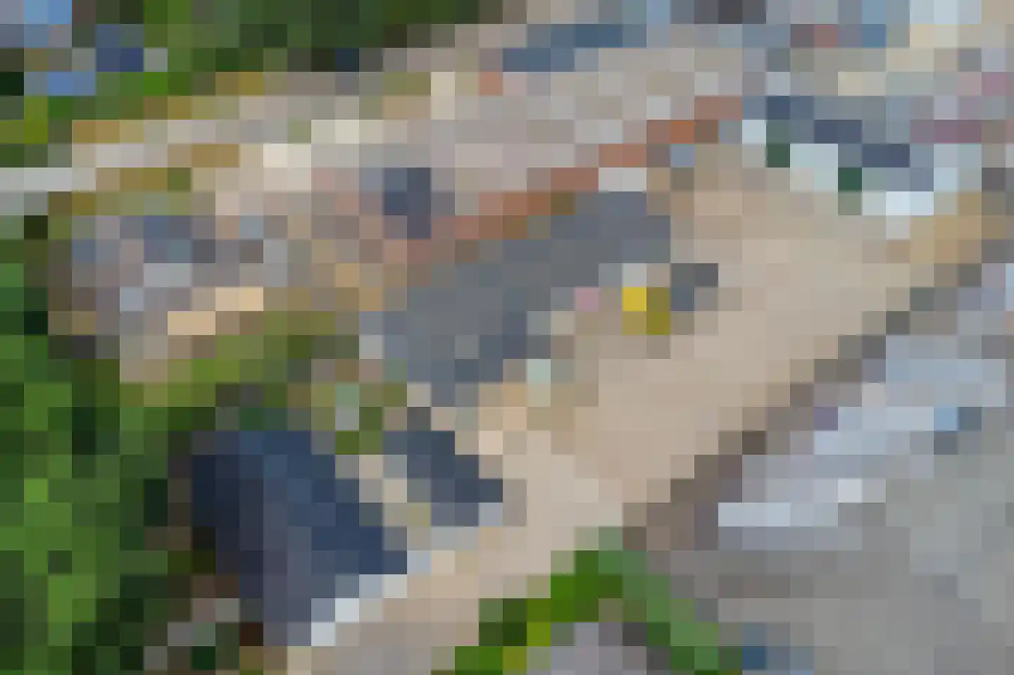 Stationsweg 80 Herkenbosch thumbnail 29