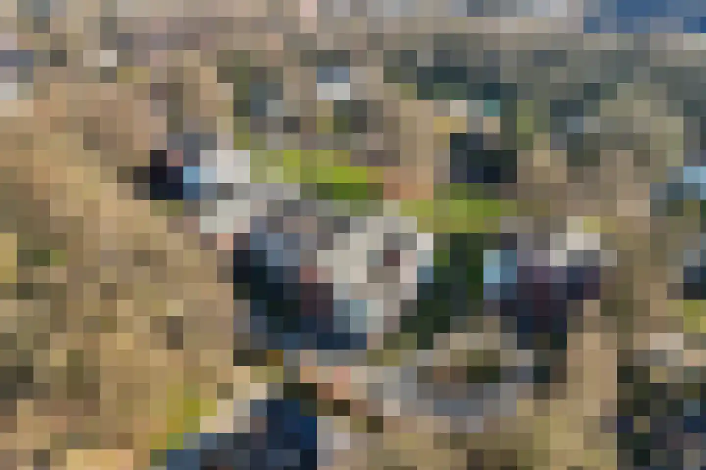 Stationsweg 82 5 Ede thumbnail 38