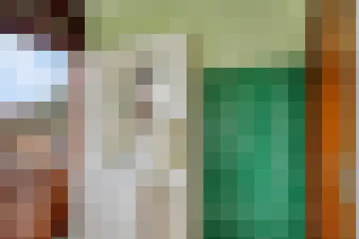 Stationsweg 88 a Budel-Dorplein thumbnail 13