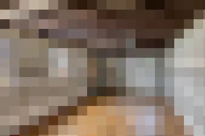 Stationsweg 88 a Budel-Dorplein thumbnail 23