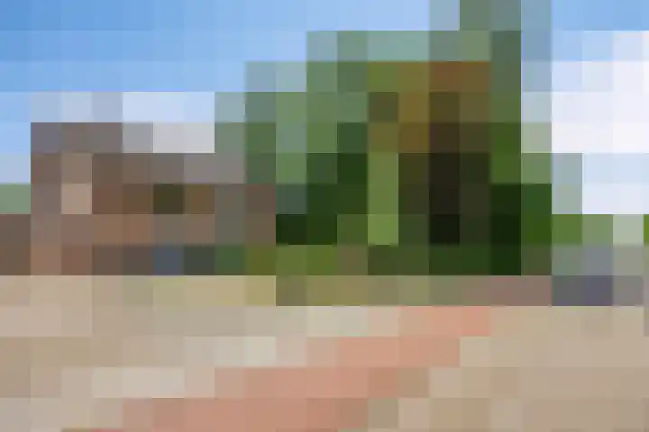 Stationsweg 88 a Budel-Dorplein thumbnail 27