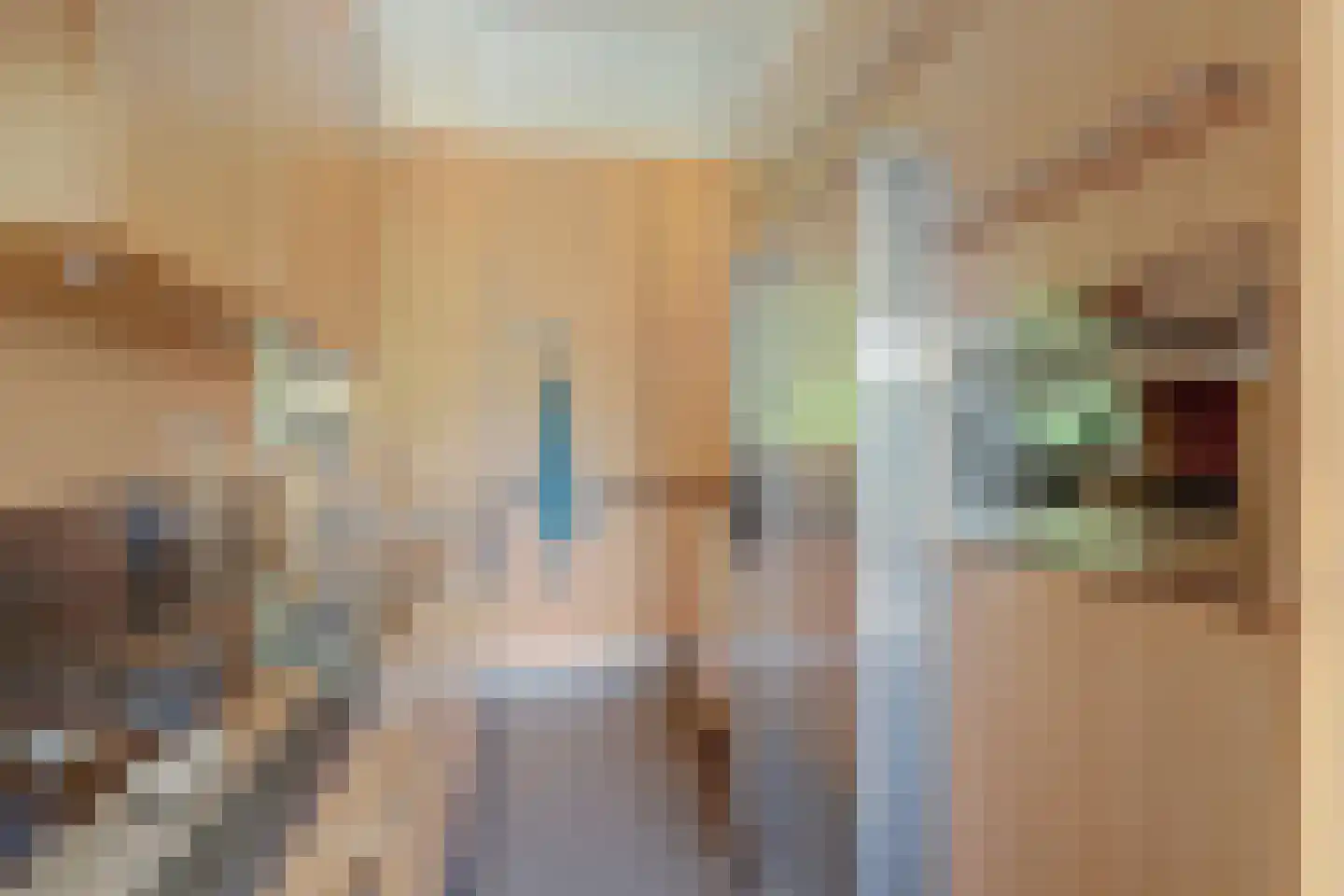 Stationsweg 88 Herkenbosch thumbnail 18