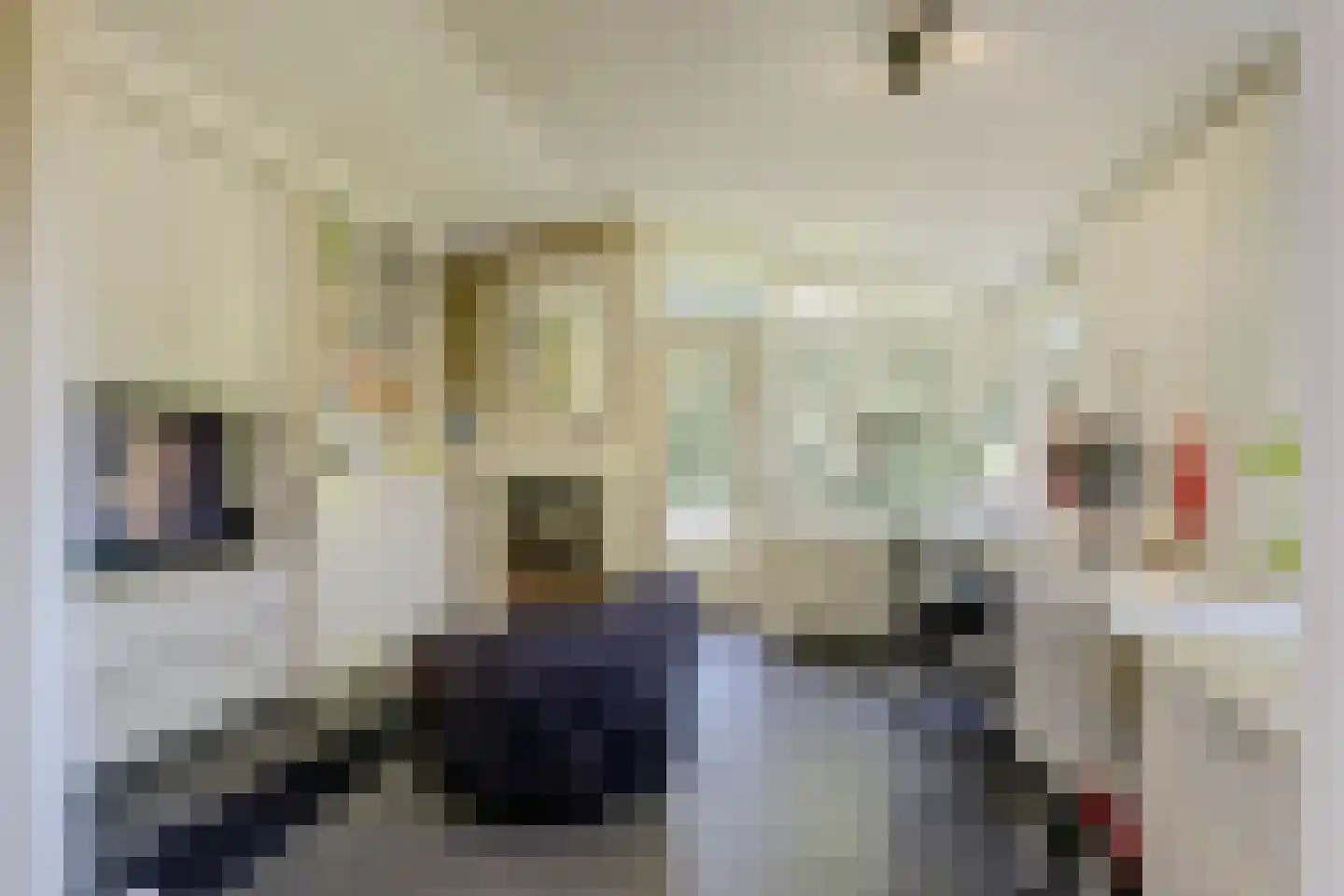 Stationsweg 88 Herkenbosch thumbnail 33