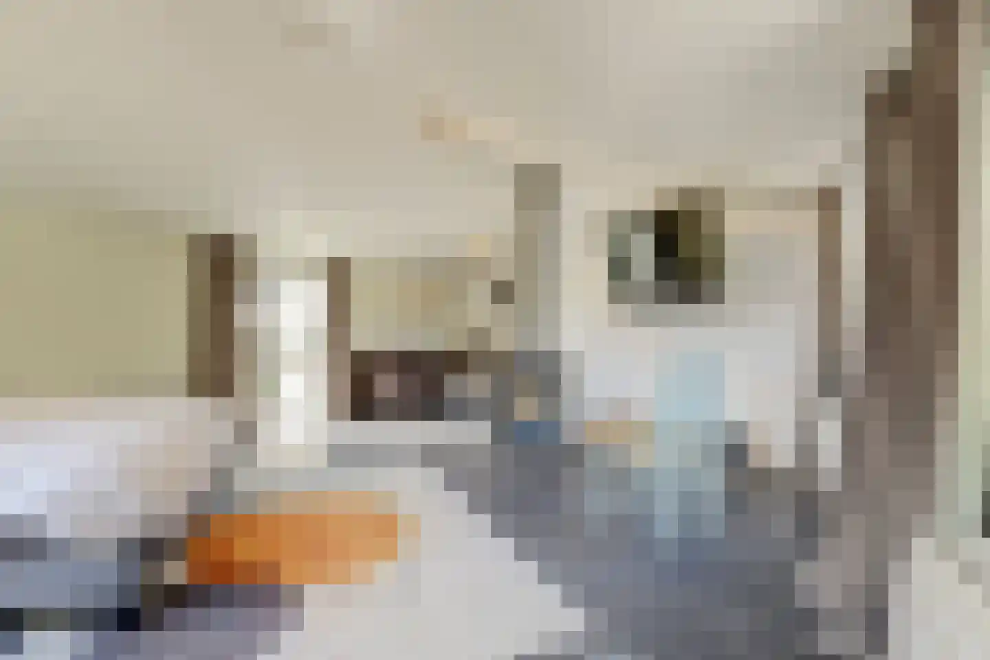 Stationsweg 88 Herkenbosch thumbnail 38