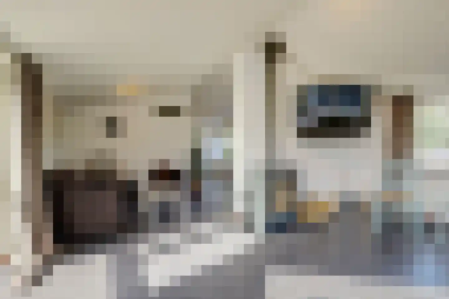 Stationsweg 88 Herkenbosch thumbnail 39