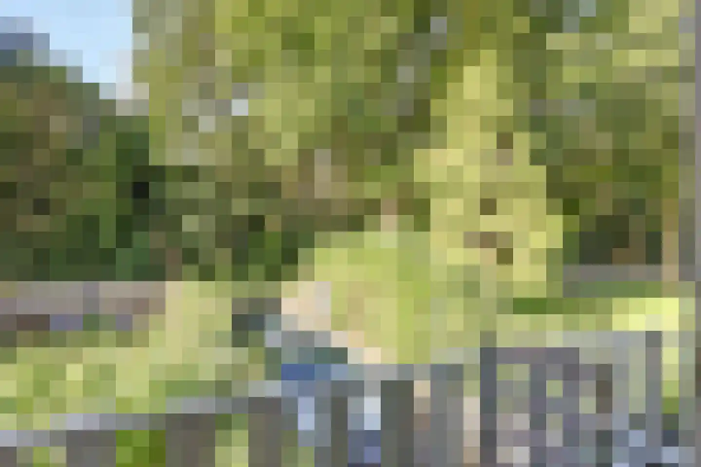 Stationsweg 88 Herkenbosch thumbnail 60