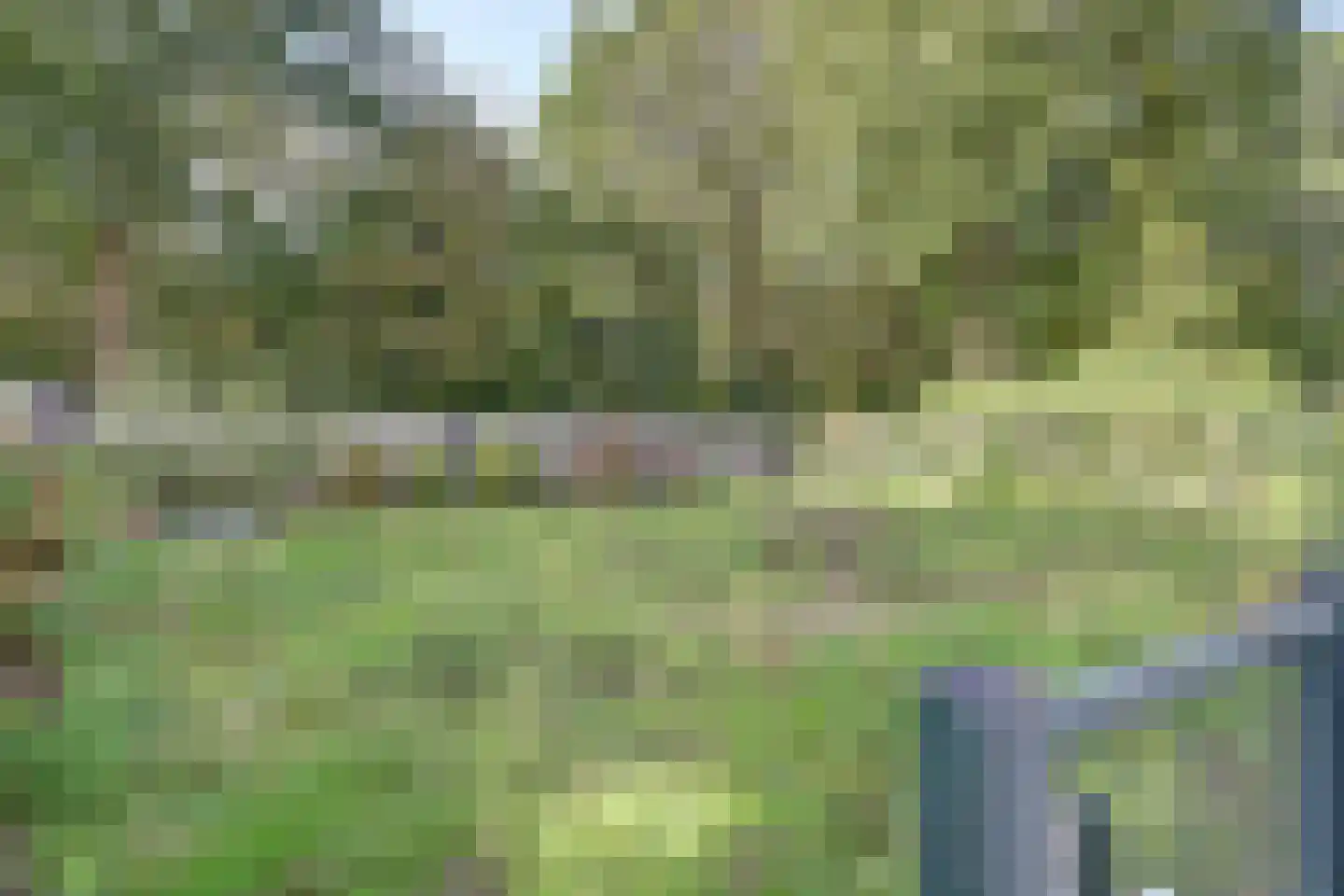 Stationsweg 88 Herkenbosch thumbnail 61