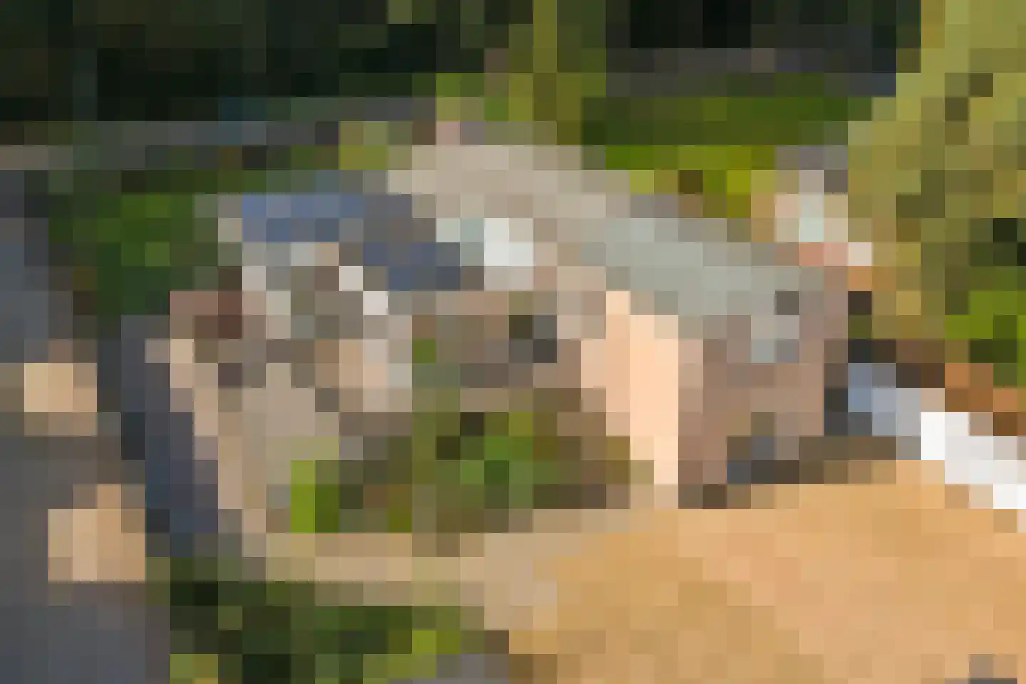 Stationsweg 88 Herkenbosch thumbnail 65