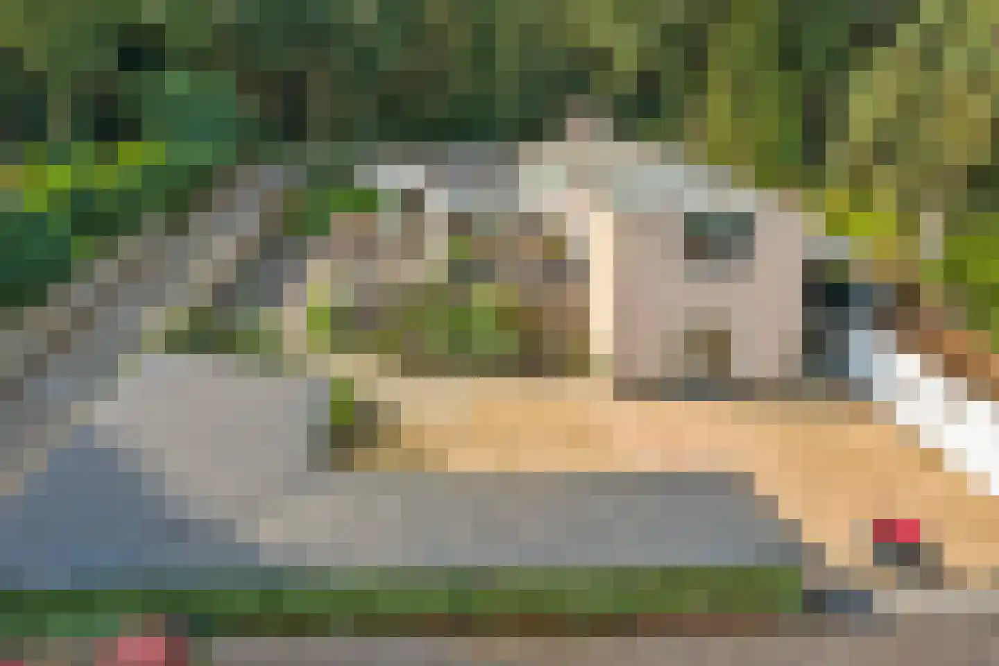 Stationsweg 88 Herkenbosch thumbnail 66