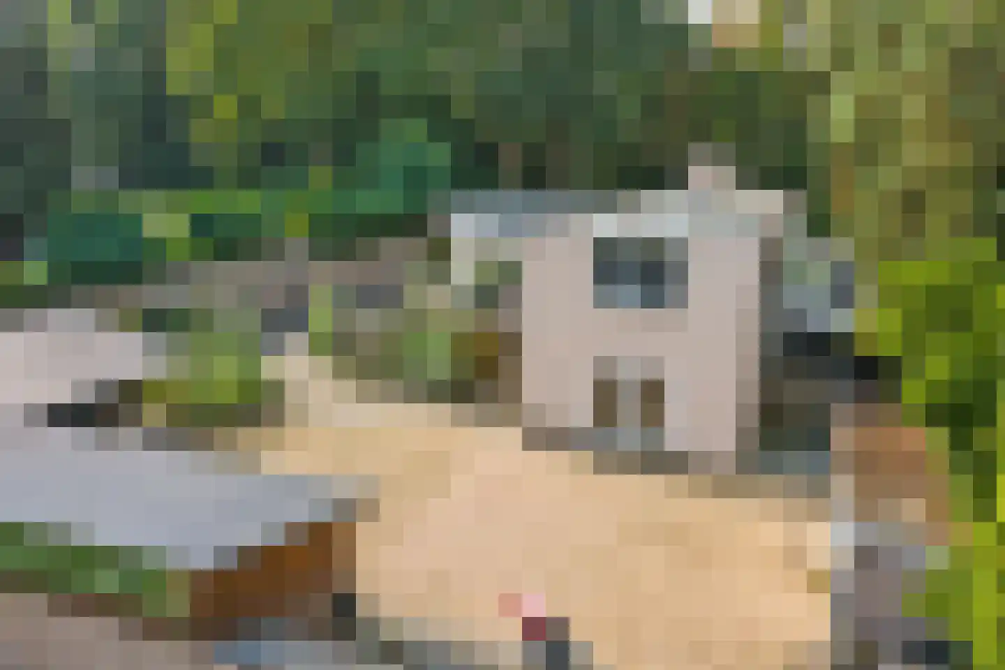 Stationsweg 88 Herkenbosch thumbnail 67