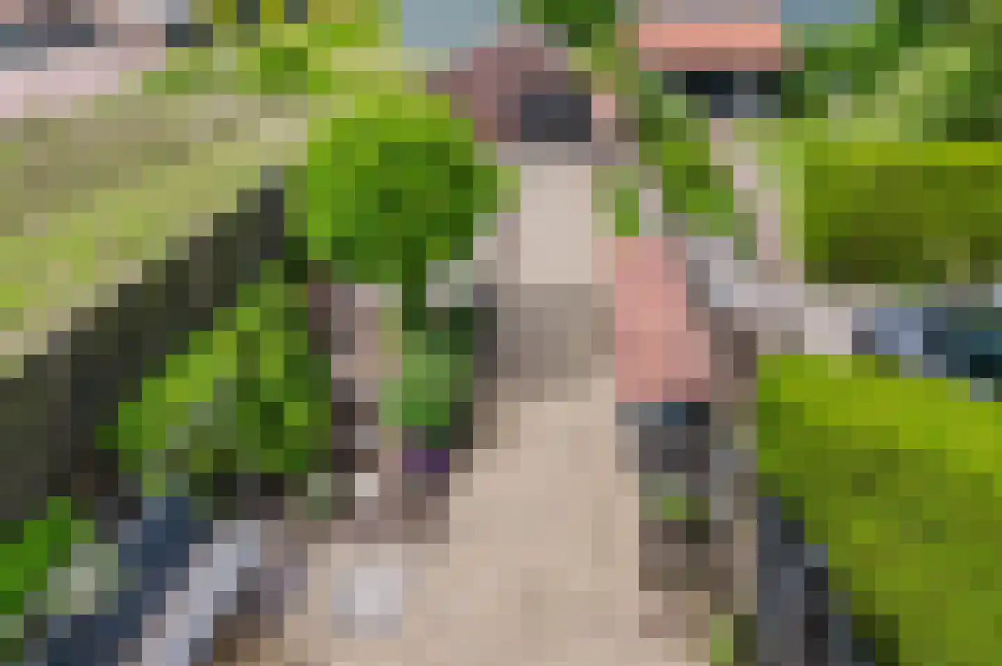 Stationsweg 9 Gorredijk thumbnail 67