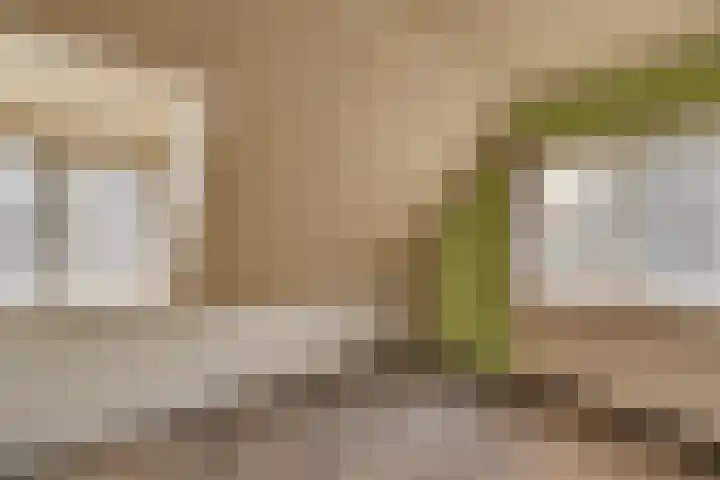 Stationsweg 9 Haarle thumbnail 21