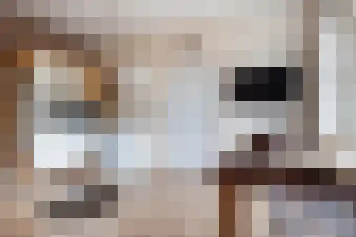 Stationsweg 9 III Woerden thumbnail 9