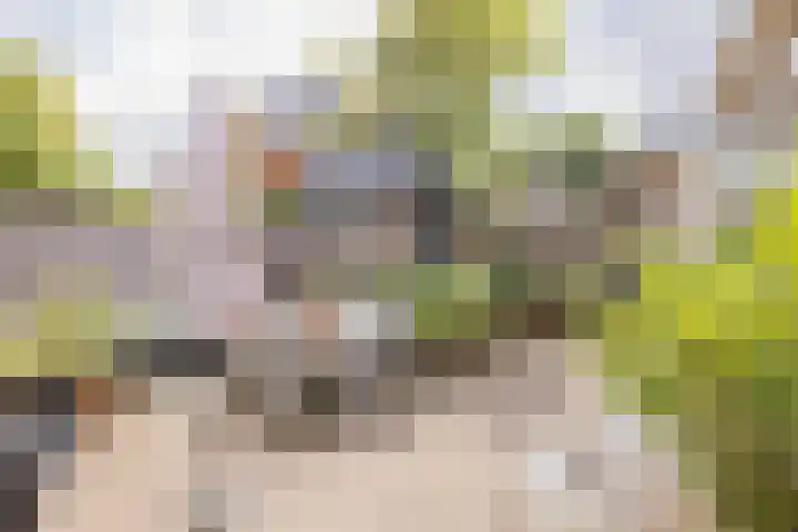 Stationsweg 91 Velsen-Zuid thumbnail 22